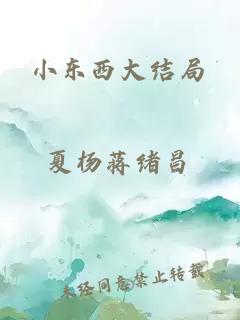 小东西大结局