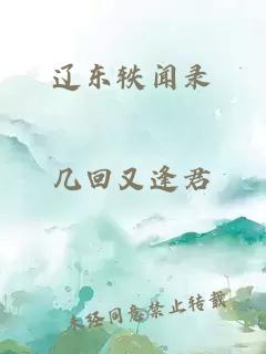 辽东轶闻录