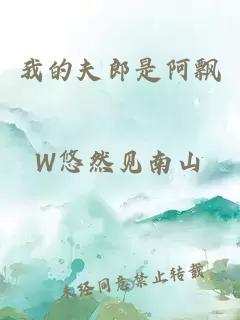我的夫郎是阿飘